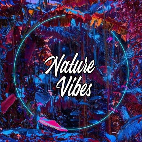 NatureVibes - Deep Café vol.36