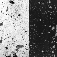 Les Traces De Notre Futur Anterieur(2019)