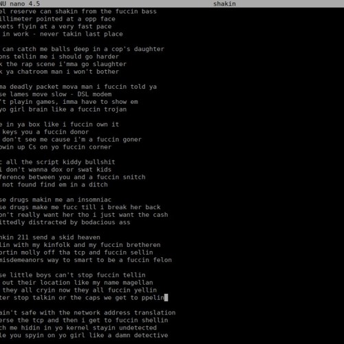 reverse shell