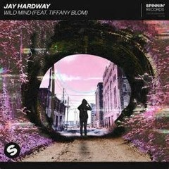Jay Hardway - Wild Mind (reable remix)