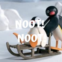 Pingu!