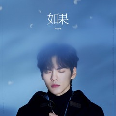 毕雯珺 - 如果