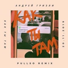 Андрей Гризли - Как Ты Там (Pullso remix)