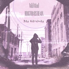 Jay Hardway - Wild Mind featuring. Tiffany Blom(HDNGTOMRS Remix)