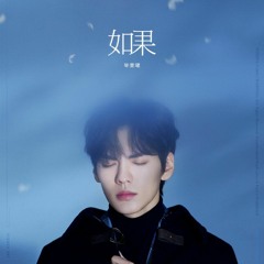 If (如果) - Bi Wenjun (毕雯珺)