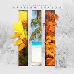 CS3 Intro
