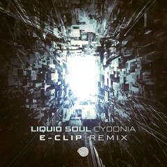 Liquid Soul - Cydonia (E-Clip RMX)