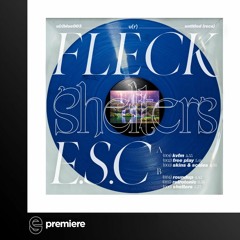 Premiere: Fleck E.S.C. - Roundup - untitled (recs)