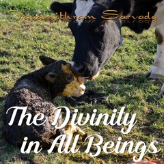 The Divinity in all Living Beings  - SBG