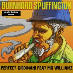 Burnhard Spliffington ( Official Jamie Bostron Remix)