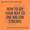 How to DIY your way to 1 Million Spotify Streams (with Martin from Carry the Crown)