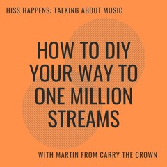How to DIY your way to 1 Million Spotify Streams (with Martin from Carry the Crown)