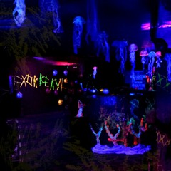 Restlichtzone 2 - 08.11.19 - Zwiebelkraut