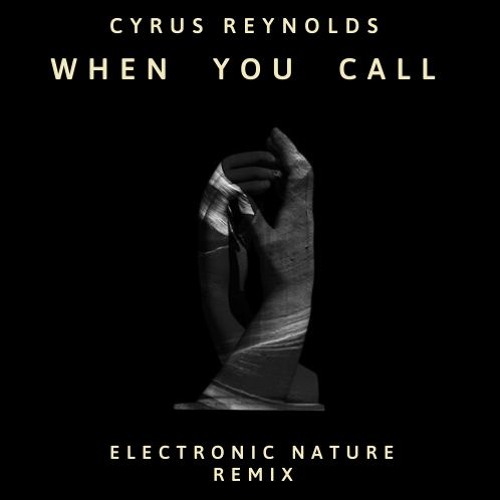WHEN YOU CALL (ELECTRONIC NATURE REMIX)