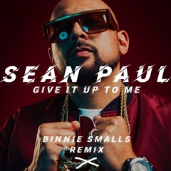 Sean Paul x Give It Up To Me (Binnie Smalls Remix)