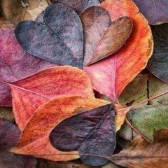 Autumn feelings Live Mix 2019 by Dj Mati