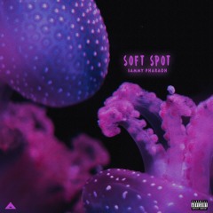 Soft Spot (Prod. Sammy Pharaoh)