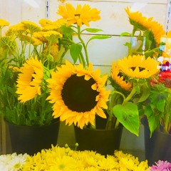 우리는(feat. gre gory)