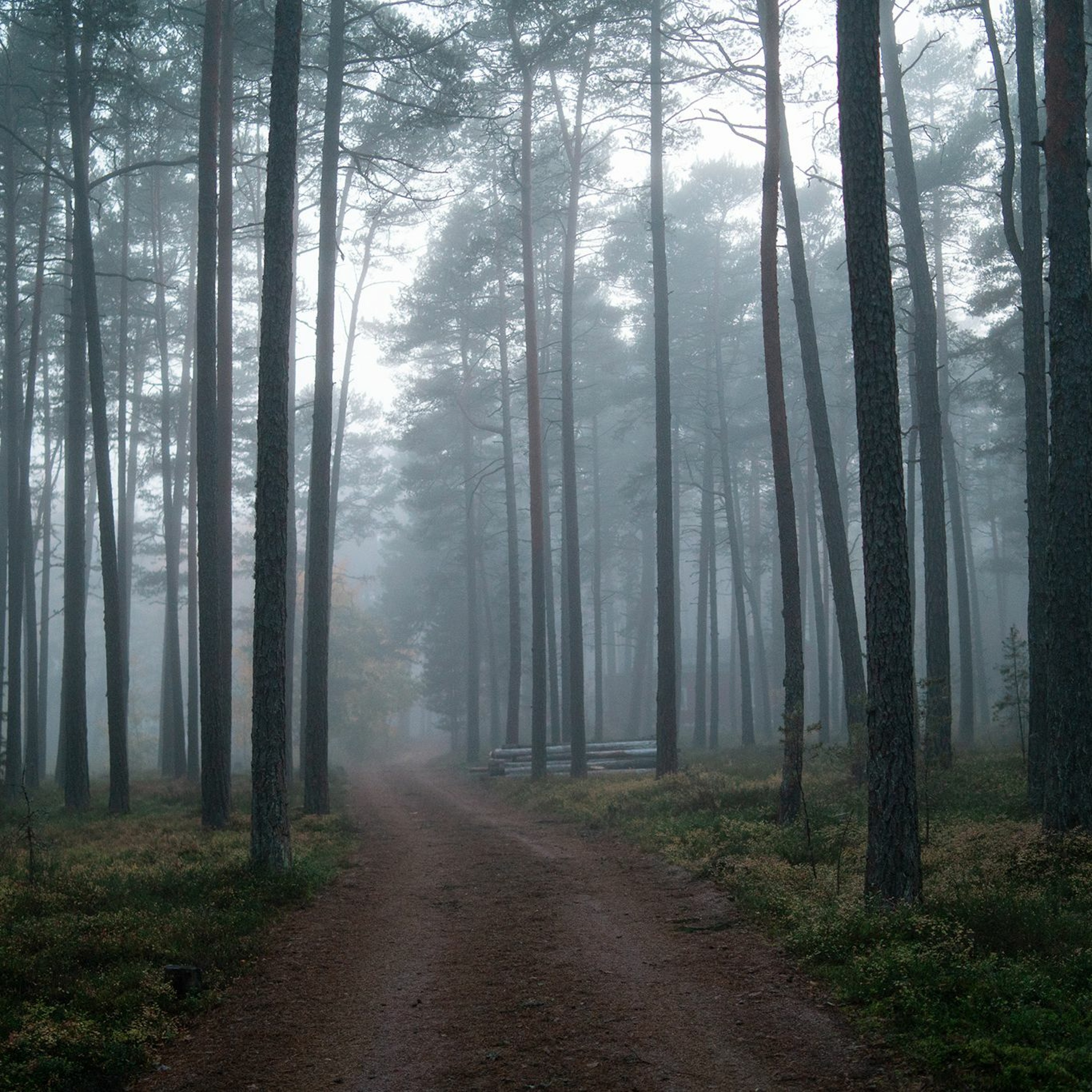 Valokuvauspodcast