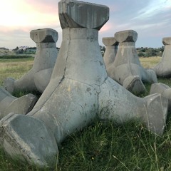 Cosmin TRG - Totem Temut