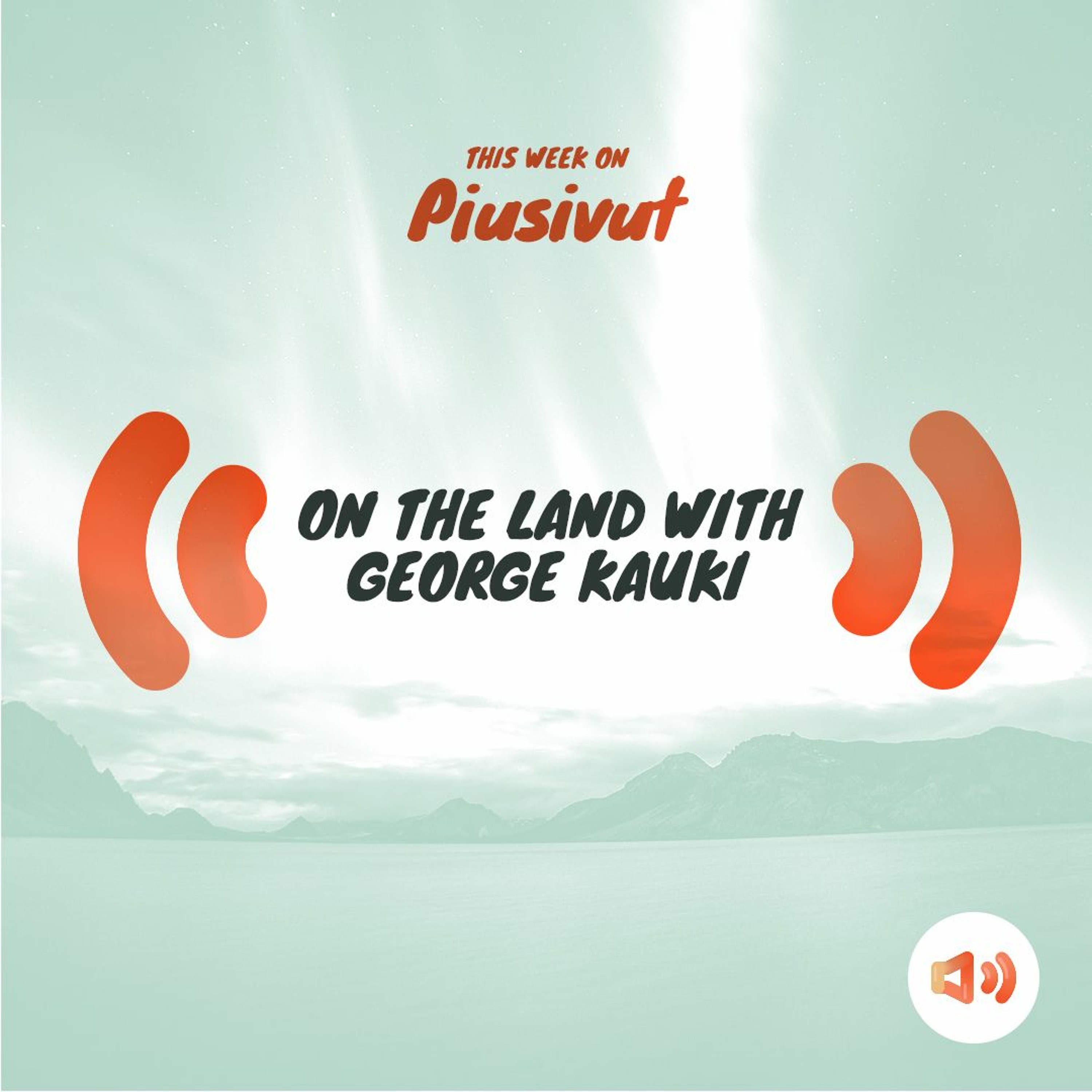 Piusivut
