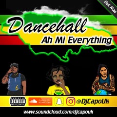 Dancehall Ah Mi Everything | Mixed By @DJCAPOUK