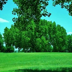 Greener Pastures (Prod. Caveman Summer)