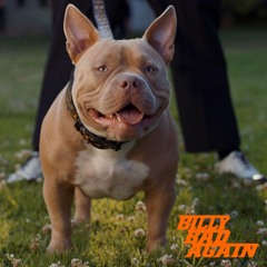 Billy Bad Again