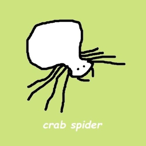 Crab Spider