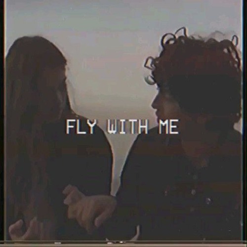 fly.