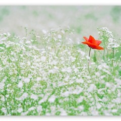 One in a Million (Feat. Tecca & Dzy) (Prod. lock)