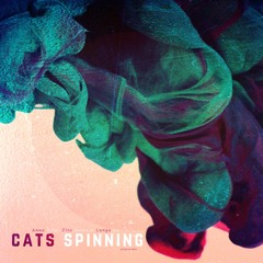 w/ Zito Mowa & Lunga SA - Cats Spinning (Original Mix)