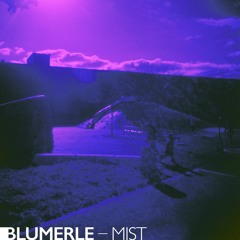 Blumerle : Mist