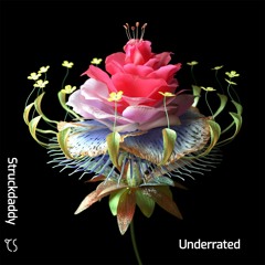 Struckdaddy - Underrated