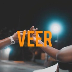 Stain Blixky - Veer