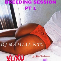 Breeding Session Pt.1