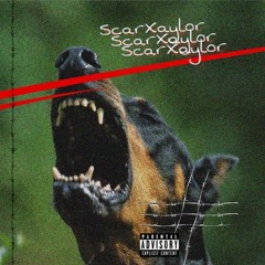 Crack a Dome (Prod.TR808)