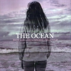 The Ocean [Mike Perry ft. Shy Martin] Acoustic Cover