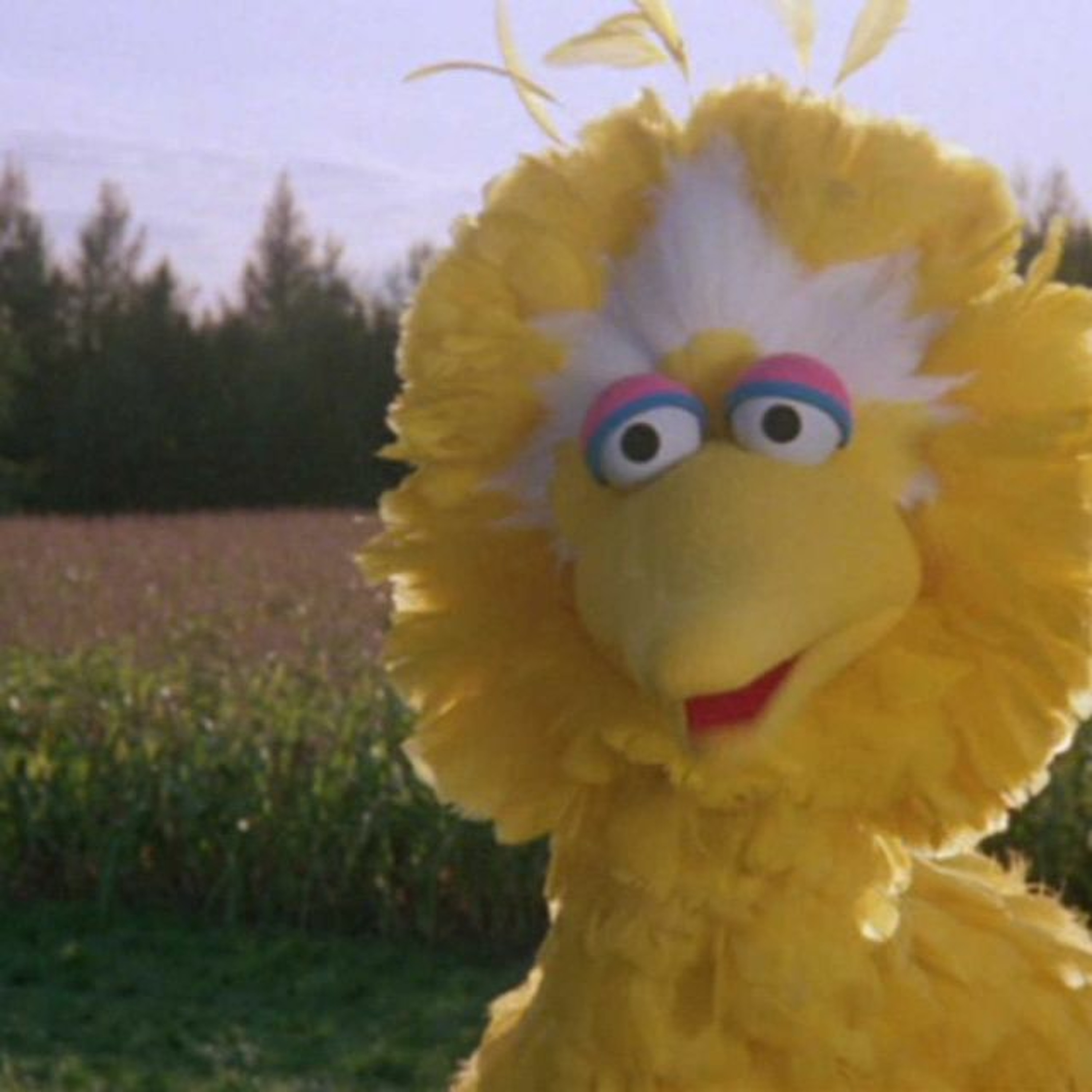 SESAME STREET PRESENTS: FOLLOW THAT BIRD