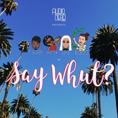 T Sleek, Leo, Doug & Hitta - Say Whut