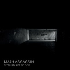 M3TH ASSASSIN - Torrents of Ungodliness