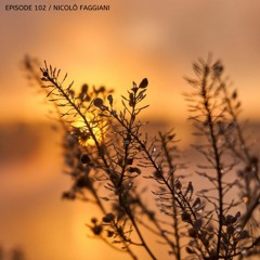Poisonoise Music - Guest Mix - EPISODE 102 - Nicolò Faggiani