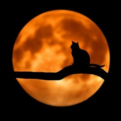Evening's Lament