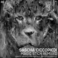 PREMIERE: Sascha Ciccopiedi - Magic Stick (Folic State Remix) [Soupherb Records]
