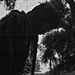 LET EM BLEED [PROD. SHINYY]