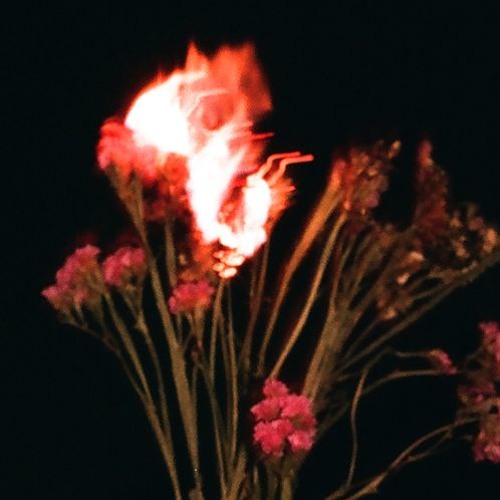 Dignity - denever
