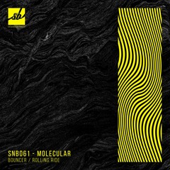 Molecular - Bouncer