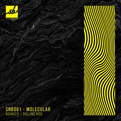 Molecular - Bouncer