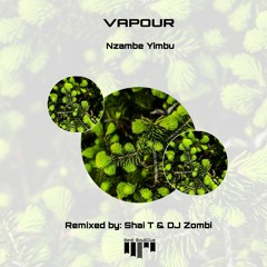 PREMIERE: Vapour — Nzambe Yimbu (Shai T & Dj Zombi Remix) [Beat Boutique]