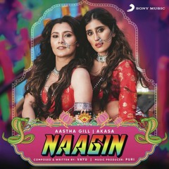 Naagin Naagin 2019 Remix _ DJ Shanish & DJYuv (Nish Production).mp3